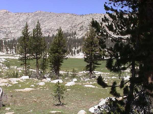 DSC00025